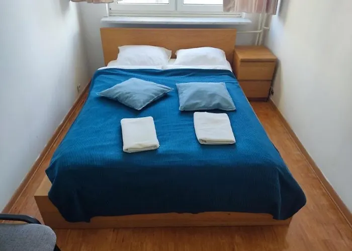 Zelazna Center Apartman *